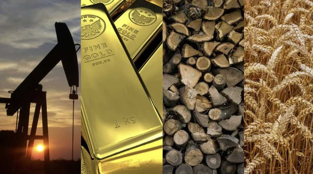 Geopolitik 2026 Memanas, Komoditas Jadi Kunci Bertahan Finansial
